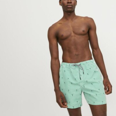 JACK & JONES Striped Embroidered Swim Shorts Green Mix | Mens Shorts